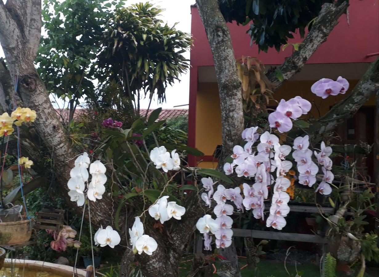 Pousada Bromelias - Suites E Aptos Nova Viçosa 外观 照片